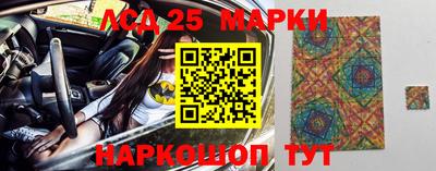 СК Новокубанск