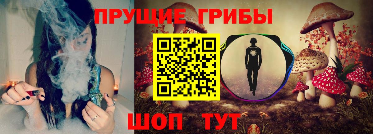хочу   Галлюциногенные грибы Psilocybine cubensis  Вход с VPN  Ступино 